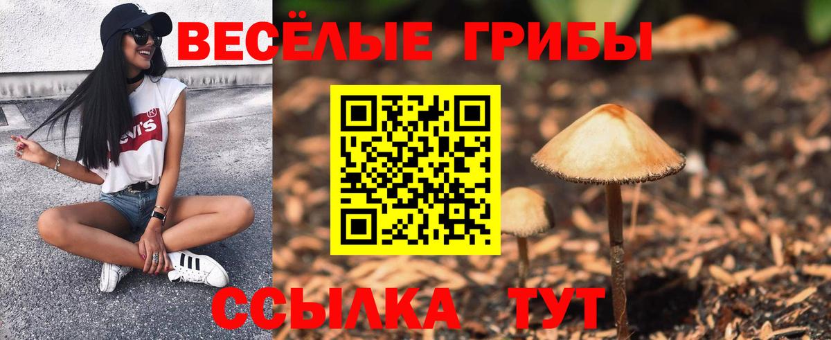  COCAIN Алушта
