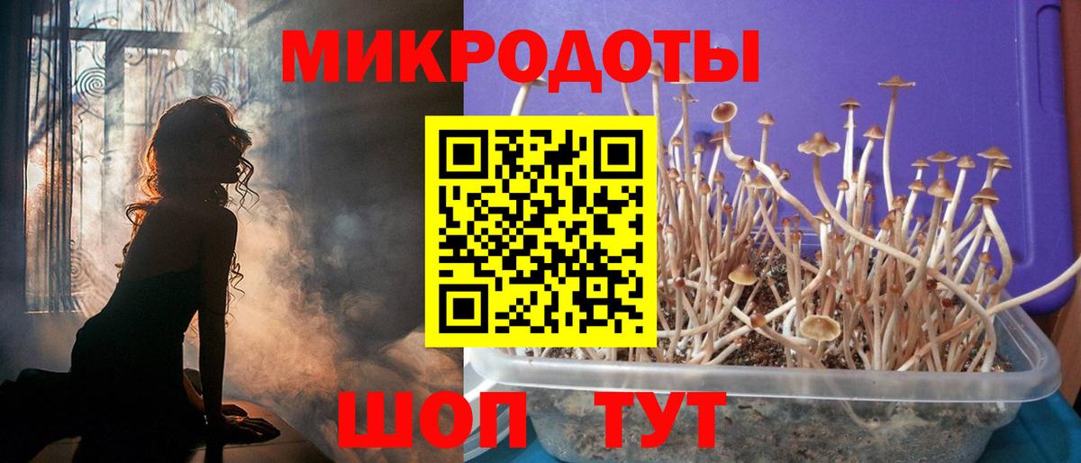 Алушта  Псилоцибиновые грибы ЛСД  Галлюциногенные грибы Cubensis  Вход с VPN 