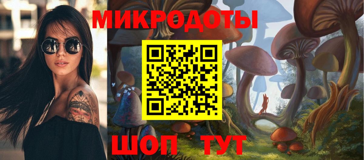 Псилоцибиновые грибы Psilocybe Алушта